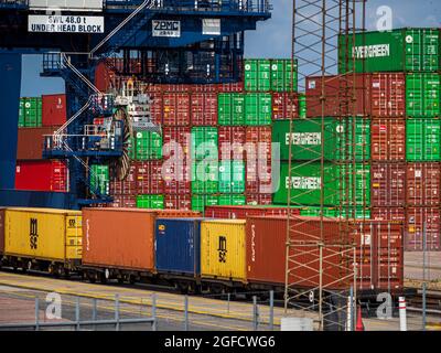 Globale Lieferketten - Container am Hafen von Felixstowe, Großbritannien, gestapelt. Engpässe In Der Globalen Lieferkette. Stockfoto