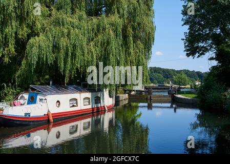 Hertford Lock on the River Lea Navigation, im Sommer, Hertfordshire, South East England Stockfoto