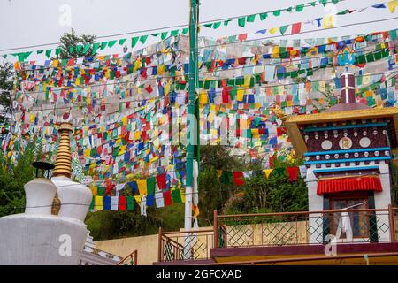 Tibetische Gebetsfahnen am Tempel des Dalai Lama, Dharamsala, Himachal Pradesh, Indien Stockfoto