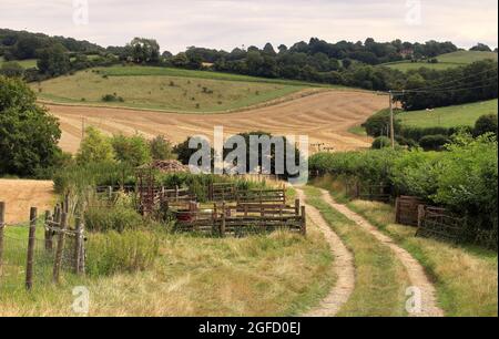 Eine englische ländliche Landschaft in den Chilterner Hügeln mit einem Farmweg, der durch ein Tor führt Stockfoto