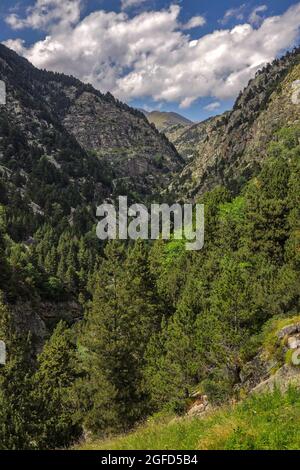 Vall de nuria (Tal von Nuria) Nationalpark in Katalonien von Spanien an einem bewölkten Tag Stockfoto