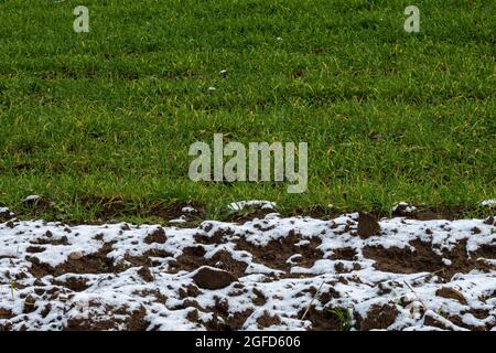 Winterfeld und gepflügte Feld im Winter. Stockfoto