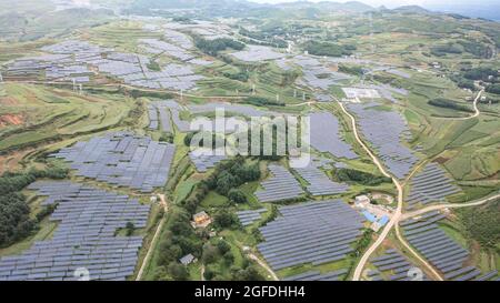 Weining. August 2021. Luftaufnahme vom 24. August 2021 zeigt ein Photovoltaikkraftwerk in Weining Yi, Autonome Grafschaft Hui und Miao, Bijie, südwestlich der Provinz Guizhou in China. Zur Förderung der ländlichen Belebung wurde ein Projekt zur Kombination von Landwirtschaft und Photovoltaik-Kraftwerk ausgerollt. Die Dorfbewohner bauen Pilze in Pilzgewächshäusern an, die unter Photovoltaik-Sonnenkollektoren gebaut werden, Pflanzen andere landwirtschaftliche Produkte an und hüten Schafe auf den Feldern im Photovoltaik-Kraftwerk. Quelle: Tao Liang/Xinhua/Alamy Live News Stockfoto