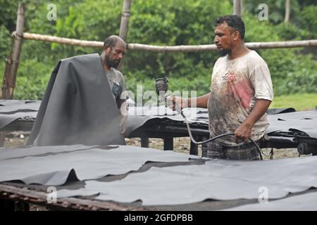 Dhaka, Bangladesch, 25. August 2021: Arbeiter von Hazaribagh malen Leder als Teil des Fertigungsprozesses der Ledergerbung in einer kleinen Fabrik, um es zur Herstellung von Schuhen zu verkaufen. Beim Bräunen werden die Häute eingeweicht, um das Salz in einer Lösung aus Kalk und Wasser zu entfernen, um das Haar zu erweichen und mit einer Maschine zu beseitigen, dann werden die Rückstände von Hand mit einem stumpfen Messer entfernt. Quelle: Maruf Rahman / Eyepix Group/Alamy Live News Stockfoto