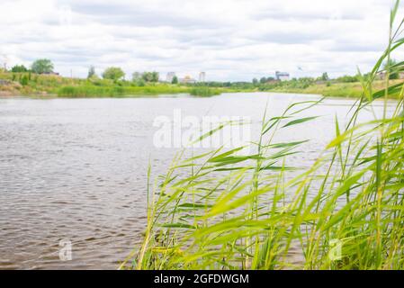 Breiter und ruhiger Fluss ishim in kasachstan Stockfoto
