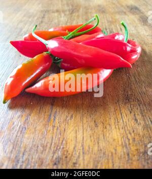 Capsicum baccatum, Pfeffer, der als Chili oder Aji-Pfeffer bekannt ist, auf einem Holztisch Stockfoto