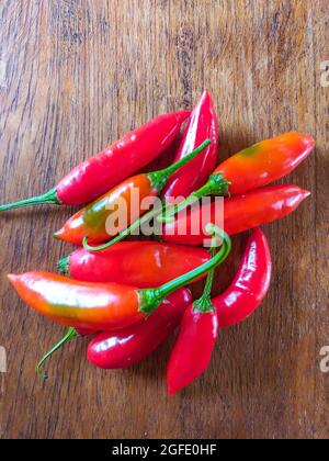 Capsicum baccatum, Pfeffer, der als Chili oder Aji-Pfeffer bekannt ist, auf einem Holztisch Stockfoto