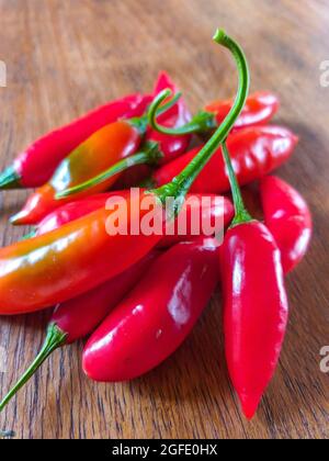 Capsicum baccatum, Pfeffer, der als Chili oder Aji-Pfeffer bekannt ist, auf einem Holztisch Stockfoto