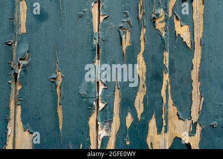 Nahaufnahme der Holztür mit zerkratzter und rissiger blauer Farbe, nützlich als Hintergrund Stockfoto