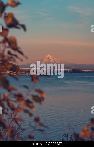 Mt Hood, der während der Herbstsaison bei Sonnenuntergang über dem Columbia River mit Herbstlaub leuchtet, Vancouver Washington und Portland Oregon, Pazifischer Nordwesten Stockfoto