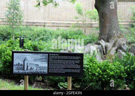 Touristeninformation am Hardy Tree in den St Pancras Gardens Stockfoto