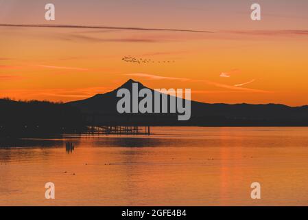 Vogellandschaft, die über den silhouettierten Mt. Hood und Columbia River bei schönem Sonnenaufgang, Portland Oregon Pacific Northwest United States Stockfoto