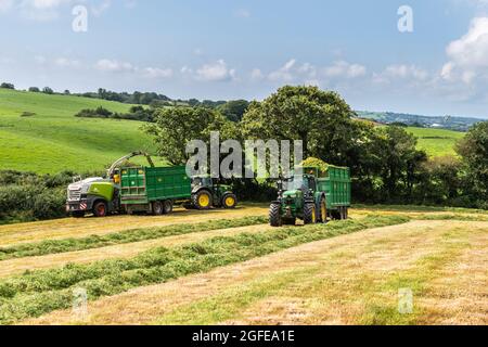 Skibbereen, West Cork, Irland. August 2021. An einem warmen und sonnigen Tag in Skibbereen sammelt Cha Holmes Contractors von Skibbereen Gras, das auf der Rinderfarm von Ivan Brookes mit einem Claas Jaguar 870 Harvester und John Deere Traktoren zur Silage verwendet wird. Quelle: AG News/Alamy Live News Stockfoto