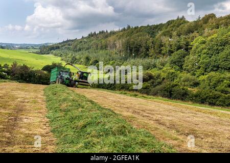 Skibbereen, West Cork, Irland. August 2021. An einem warmen und sonnigen Tag in Skibbereen sammelt Cha Holmes Contractors von Skibbereen Gras, das auf der Rinderfarm von Ivan Brookes mit einem Claas Jaguar 870 Harvester und John Deere Traktoren zur Silage verwendet wird. Quelle: AG News/Alamy Live News Stockfoto