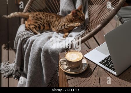Tasse schwarzen Kaffee mit Milch in beige Handwerk Tasse auf einem massiven Holz Eiche Couchtisch mit silbernen Laptop und bengalkatze. Stockfoto