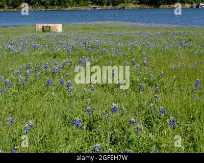 Muleshoe Bend und Privatresidenz, Spicewood, Burnett County, Texas, USA. Gestohlenes Land der Mumunuu, Coahuiltecan, NTE Konitsaaii Gokiyaa, Tokawa, J Stockfoto