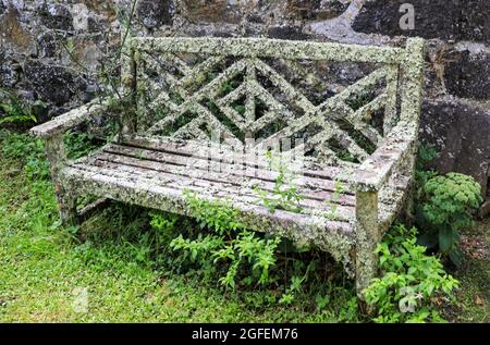 Eine alte hölzerne Gartenbank, die in Lichen, Bonython Estate Gardens, Garden, Helston, Cornwall, England, Großbritannien Stockfoto