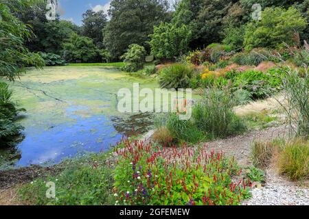 Bonython Estate Gardens, Garden, Helston, Cornwall, England, VEREINIGTES KÖNIGREICH Stockfoto