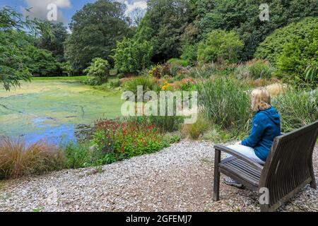 Bonython Estate Gardens, Garden, Helston, Cornwall, England, VEREINIGTES KÖNIGREICH Stockfoto