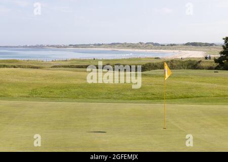 Seahouses Golf Course, Northumberland, England Stockfoto