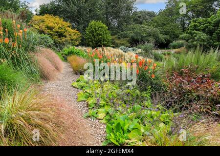 Bonython Estate Gardens, Garden, Helston, Cornwall, England, VEREINIGTES KÖNIGREICH Stockfoto