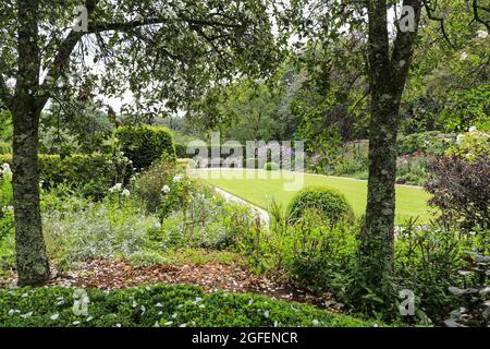 Bonython Estate Gardens, Garden, Helston, Cornwall, England, VEREINIGTES KÖNIGREICH Stockfoto