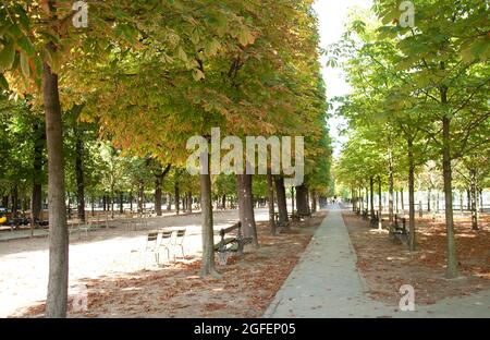 Gehwege, Jardin Du Luxembourg, Paris, Frankreich Stockfoto