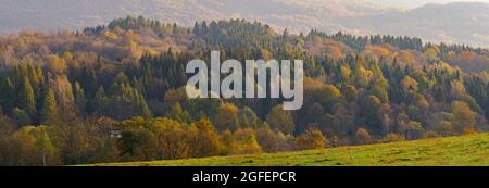 Herbstansicht des Hügels bei Wetlina. Bieszczady, Bieszczady poviat, Polen. Europa, Provinz Podkarpackie, Bieszczady, Karpaten. Stockfoto