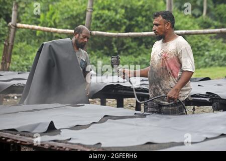 Dhaka, Bangladesch. August 2021. DHAKA, BANGLADESCH - 25. AUGUST: Arbeiter aus Hazaribagh malen Leder als Teil des Fertigungsprozesses der Ledergerbung in einer kleinen Fabrik, um es zur Herstellung von Schuhen zu verkaufen. Beim Bräunen werden die Häute eingeweicht, um das Salz in einer Lösung aus Kalk und Wasser zu entfernen, um das Haar zu erweichen und mit einer Maschine zu beseitigen, dann werden die Rückstände von Hand mit einem stumpfen Messer entfernt. Am 25. August 2021 in Dhaka, Bangladesch. (Foto von Eyepix/Sipa USA) Quelle: SIPA USA/Alamy Live News Stockfoto