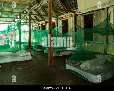 Einfache Unterkunft unter Moskitonetzen im Regenwald Amazonas. Amazonien. Lateinamerika. Stockfoto