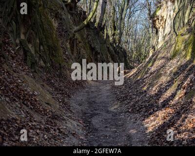 Die Lössschlucht mit dem Namen Königin Jadwiga, Sandomierz, Polen Stockfoto