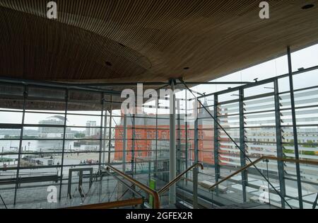 Im walisischen Parlamentsgebäude in Cardiff Bay, Wales. Gewellte, pilzartige Decke/Dach aus Zedernholz. Richard Rogers entwarf das Gebäude. Stockfoto