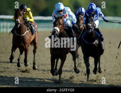 Taylored von William Buick (Mitte) gewinnt den Einsatz von Cazoo Maiden auf der Rennbahn Lingfield Park. Bilddatum: Mittwoch, 25. August 2021. Siehe PA Story RACING Lingfield. Bildnachweis sollte lauten: Adam Davy/PA Wire. EINSCHRÄNKUNGEN: Die Nutzung unterliegt Einschränkungen. Nur redaktionelle Verwendung, keine kommerzielle Nutzung ohne vorherige Zustimmung des Rechteinhabers. Stockfoto