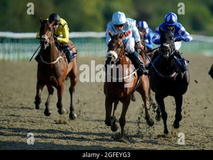 Taylored von William Buick (Mitte) gewinnt den Einsatz von Cazoo Maiden auf der Rennbahn Lingfield Park. Bilddatum: Mittwoch, 25. August 2021. Siehe PA Story RACING Lingfield. Bildnachweis sollte lauten: Adam Davy/PA Wire. EINSCHRÄNKUNGEN: Die Nutzung unterliegt Einschränkungen. Nur redaktionelle Verwendung, keine kommerzielle Nutzung ohne vorherige Zustimmung des Rechteinhabers. Stockfoto