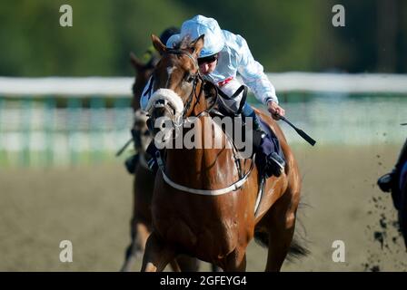 Taylored von William Buick (Mitte) gewinnt den Einsatz von Cazoo Maiden auf der Rennbahn Lingfield Park. Bilddatum: Mittwoch, 25. August 2021. Siehe PA Story RACING Lingfield. Bildnachweis sollte lauten: Adam Davy/PA Wire. EINSCHRÄNKUNGEN: Die Nutzung unterliegt Einschränkungen. Nur redaktionelle Verwendung, keine kommerzielle Nutzung ohne vorherige Zustimmung des Rechteinhabers. Stockfoto