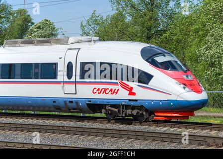 LENINGRAD, RUSSLAND - 24. MAI 2021: Das Hauptauto des Hochgeschwindigkeits-Elektrozuges EVS-2 'Sapsan' an einem sonnigen Maitag. Russische Eisenbahn Stockfoto