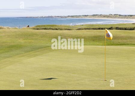 Seahouses Golf Course mit Blick auf Beadnell, Northumberland, England Stockfoto