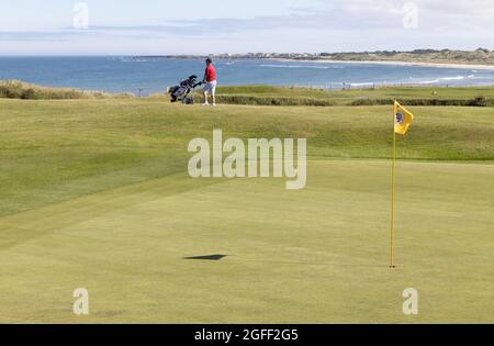 Seahouses Golf Course mit Blick auf Beadnell, Northumberland, England Stockfoto