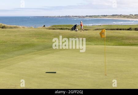 Seahouses Golf Course mit Blick auf Beadnell, Northumberland, England Stockfoto