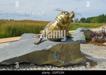 KRONSTADT, RUSSLAND - 11. AUGUST 2021: Skulptur einer baltischen Robbe auf dem Territorium des Stadtparks 'Insel der Festungen' Stockfoto