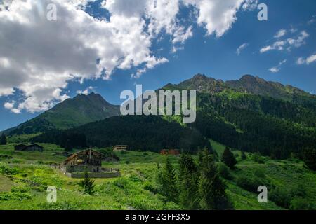 Rize ist die grünste Stadt der Türkei. Rize liegt im östlichen Teil der Schwarzmeerregion der Türkei Stockfoto