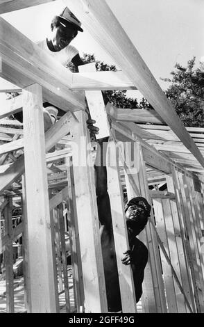 Austin Texas USA, um 1993: Zimmerleute, die in der benachteiligten Nachbarschaft von Austin, Texas, einkommensschwache Wohnungen bauen. ©Bob Daemmrich Stockfoto