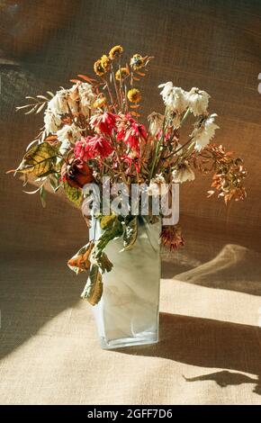 Ein Dichterstrauß aus toten Blumen in einer marmorierten Vase vor einer groben hession-Kulisse Stockfoto