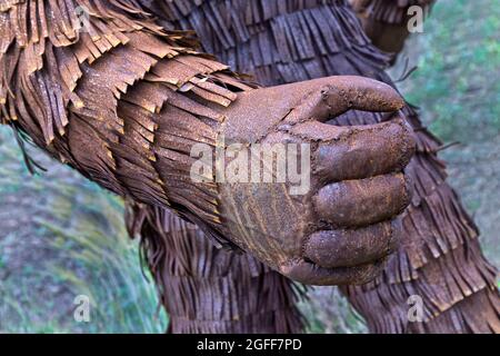 Die starke, starke rechte Hand von Bigfoot. Stockfoto