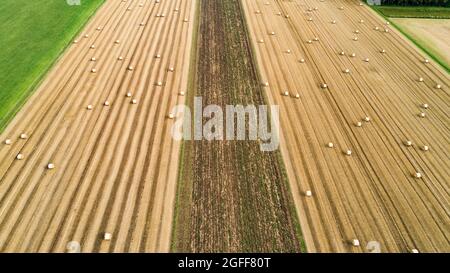 Luftaufnahme eines geernteten Getreidefeldes mit Strohballen bei Augsburg in Schwaben, Bayern, Deutschland, Europa Stockfoto