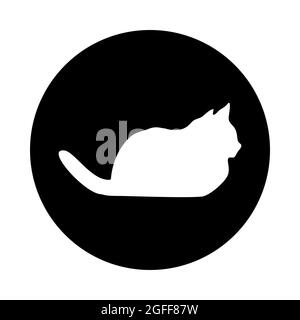 CAT-Logo. Hellweiße Silhouette isoliert vom Hintergrund. Katzentet in Linie Art. Stockfoto