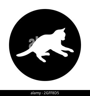 CAT-Logo. Hellweiße Silhouette isoliert vom Hintergrund. Katzentet in Linie Art. Stockfoto