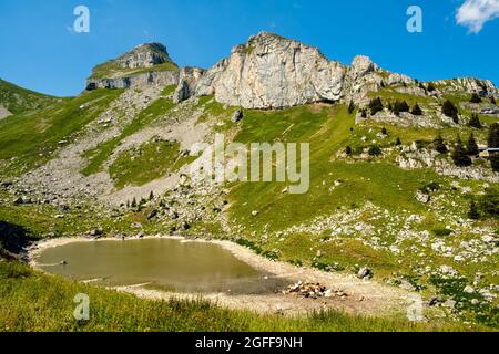 Schöne Aussicht auf den Bergsee Lac de Mayen, umgeben von grünen Almen und steilen Felsklippen der Tour de Mayen. Leysin, CAN Stockfoto