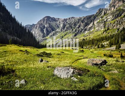 Schöne Landschaft des Bergtals und grünen üppigen Wald mit kleinen Touristen in Kasachstan Stockfoto