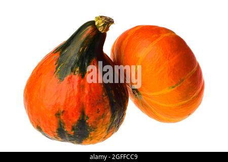 Zwei orangefarbene Kürbisse auf weißem Hintergrund isoliert. Stockfoto